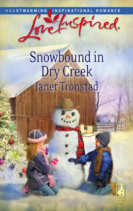 Title details for Snowbound in Dry Creek by Janet Tronstad - Available